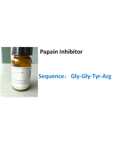 Papain Inhibitor