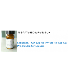 N-E-A-Y-V-H-D-A-P-V-R-S-L-N