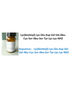 Lys(biotinyl)-Lys-Glu-Asp-Val-Val-Abu-Cys-Ser-Abu-Ser-Tyr--Lys-Lys-NH2