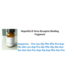 Hepatitis B Virus Receptor Binding Fragment