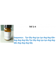 TAT 2-4