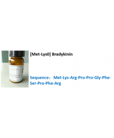 [Met-Lys0] Bradykinin