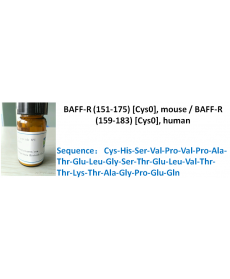 BAFF-R (151-175) [Cys0], mouse / BAFF-R (159-183) [Cys0], human