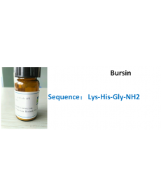 Bursin