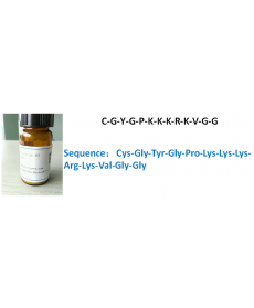 C-G-Y-G-P-K-K-K-R-K-V-G-G
