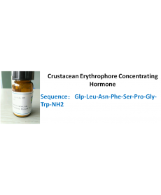 Crustacean Erythrophore Concentrating Hormone