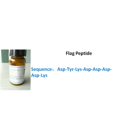 Flag Peptide