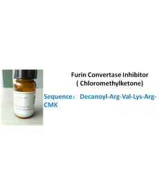 Furin Convertase Inhibitor ( Chloromethylketone)