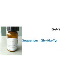 G-A-Y