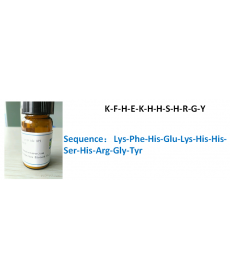 K-F-H-E-K-H-H-S-H-R-G-Y