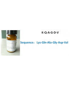 K-Q-A-G-D-V
