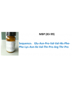 MBP (83-99)