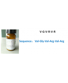 V-G-V-R-V-R