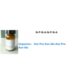 N-P-N-A-N-P-N-A