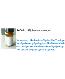 PACAP (1-38), human, ovine, rat