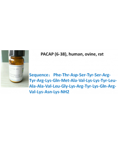 PACAP (6-38), human, ovine, rat