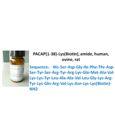 PACAP(1-38)-Lys(Biotin), amide, human, ovine, rat
