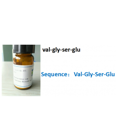 val-gly-ser-glu