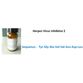 Herpes Virus Inhibitor 2