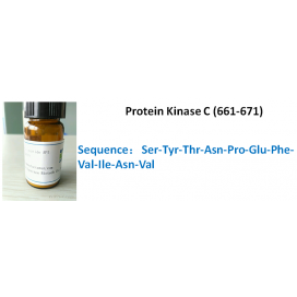 Protein Kinase C (661-671)