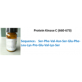 Protein Kinase C (660-673)