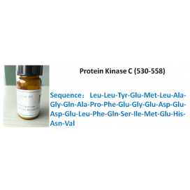 Protein Kinase C (530-558)