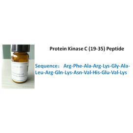 Protein Kinase C (19-35) Peptide