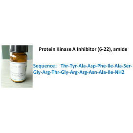Protein Kinase A Inhibitor (6-22), amide