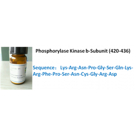 Phosphorylase Kinase b-Subunit (420-436)