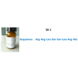 S6-1