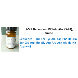 cAMP Dependent PK Inhibitor (5-24), amide