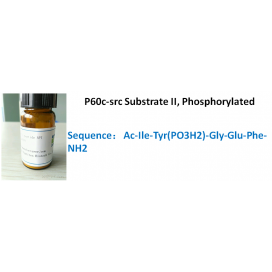 P60c-src Substrate II, Phosphorylated