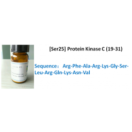 [Ser25] Protein Kinase C (19-31)