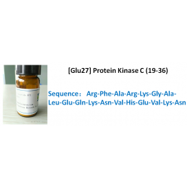 [Glu27] Protein Kinase C (19-36)