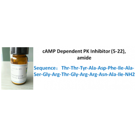 cAMP Dependent PK Inhibitor (5-22), amide