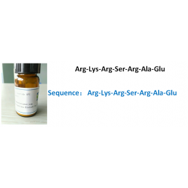 Arg-Lys-Arg-Ser-Arg-Ala-Glu