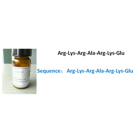 Arg-Lys-Arg-Ala-Arg-Lys-Glu