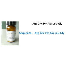 Arg-Gly-Tyr-Ala-Leu-Gly