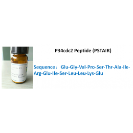 P34cdc2 Peptide (PSTAIR)