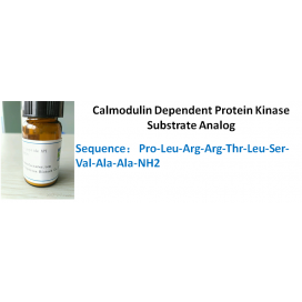 Calmodulin Dependent Protein Kinase Substrate Analog