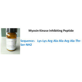 Myosin Kinase Inhibiting Peptide