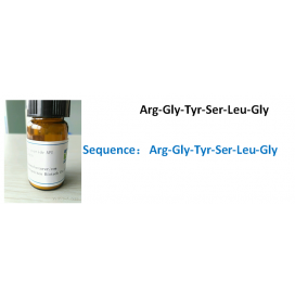 Arg-Gly-Tyr-Ser-Leu-Gly