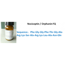 Nociceptin / Orphanin FQ