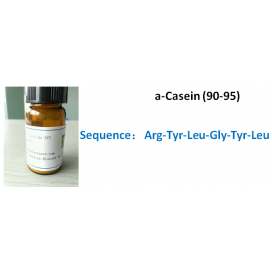 a-Casein (90-95)