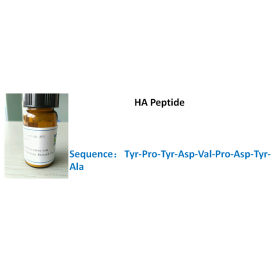 HA Peptide