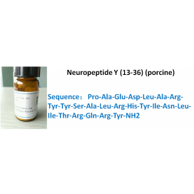 Neuropeptide Y (13-36) (porcine)