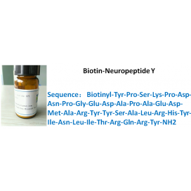 Biotin-Neuropeptide Y