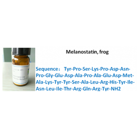 Melanostatin, frog