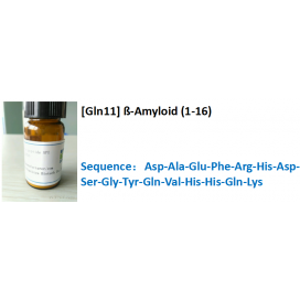 [Gln11] ß-Amyloid (1-16)