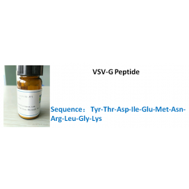 VSV-G Peptide